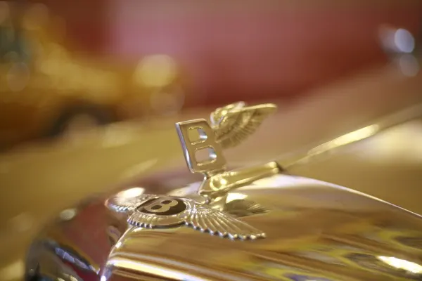 Winzinator Casino Android/iOS Forrit